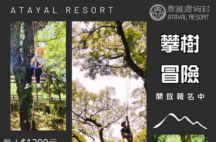 突破高度的恐懼,探索自然之美【樹攀開放報名中】