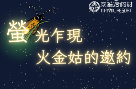 ✨「螢」光乍現·火金姑的邀約🌕