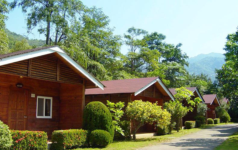 致力於精緻美食開發